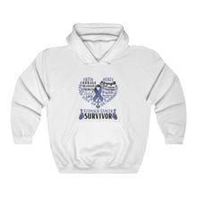 Load image into Gallery viewer, Stomach Cancer Survivor Hoodie