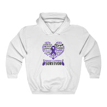 Load image into Gallery viewer, Hodgkin's Lymphoma Survivor Hoodie