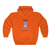 Load image into Gallery viewer, Stomach Cancer Support Hoodie