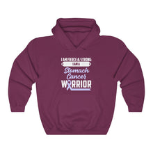 Load image into Gallery viewer, Stomach Cancer Warrior Hoodie
