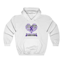 Load image into Gallery viewer, Pancreatic Cancer Survivor Hoodie