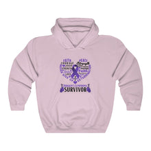 Load image into Gallery viewer, Hodgkin's Lymphoma Survivor Hoodie