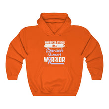 Load image into Gallery viewer, Stomach Cancer Warrior Hoodie