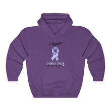 Load image into Gallery viewer, Stomach Cancer Support Hoodie