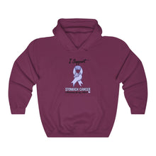 Load image into Gallery viewer, Stomach Cancer Support Hoodie