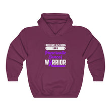 Load image into Gallery viewer, Pancreatic Cancer Warrior Hoodie