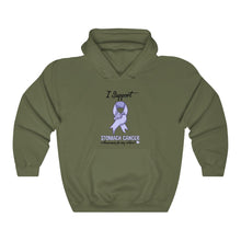 Load image into Gallery viewer, Stomach Cancer Support Hoodie