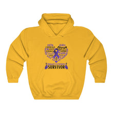 Load image into Gallery viewer, Hodgkin's Lymphoma Survivor Hoodie