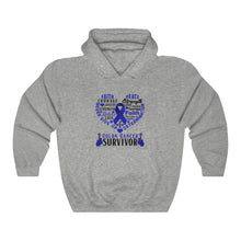Load image into Gallery viewer, Colon Cancer Survivor Hoodie