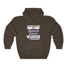 Load image into Gallery viewer, Stomach Cancer Warrior Hoodie