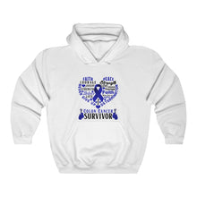 Load image into Gallery viewer, Colon Cancer Survivor Hoodie