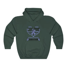 Load image into Gallery viewer, Stomach Cancer Survivor Hoodie