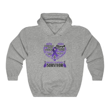 Load image into Gallery viewer, Hodgkin's Lymphoma Survivor Hoodie