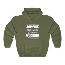 Load image into Gallery viewer, Stomach Cancer Warrior Hoodie