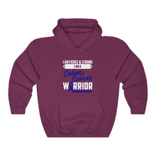 Load image into Gallery viewer, Colon Cancer Warrior Hoodie