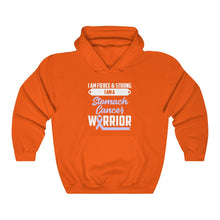 Load image into Gallery viewer, Stomach Cancer Warrior Hoodie
