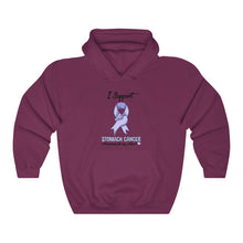 Load image into Gallery viewer, Stomach Cancer Support Hoodie
