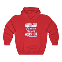 Load image into Gallery viewer, Stomach Cancer Warrior Hoodie

